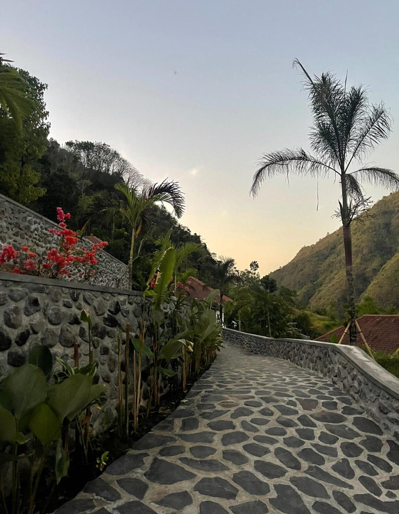 Villa Tropical Habitat Bali Amed Exterior foto